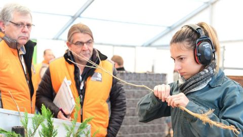Parmi les épreuves en horticulture, les candidats doivent savoir faire une greffe, reconnaître des maladies et des végétaux, semer, réaliser un mur végétal et une composition… Photo d’archive, finale en horticulture, à Caen en 2018. ©Worldskills France